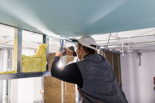 Best Garage Insulation Installation  in Ligh, NE