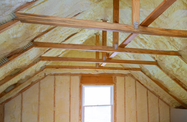 Best Attic Insulation Installation  in Ligh, NE