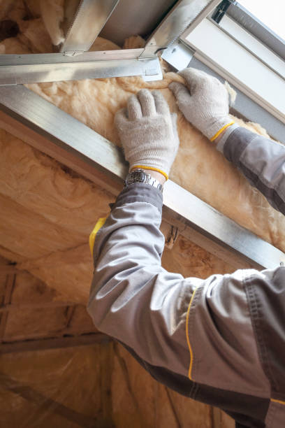 Best Insulation Replacement Services  in Ligh, NE