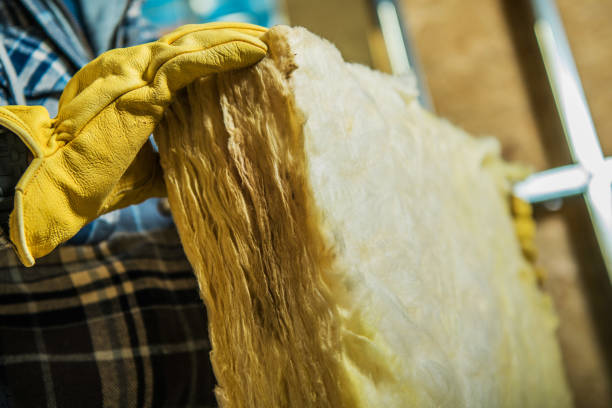 Best Best Insulation Companies  in Ligh, NE