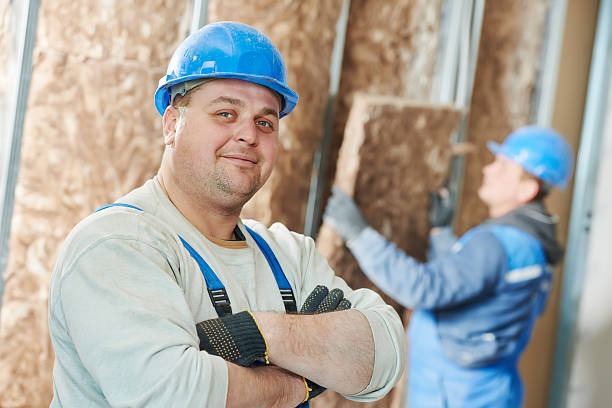 Best Insulation Contractor Near Me  in Ligh, NE