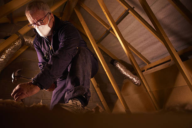 Best Blown-in Insulation  in Ligh, NE